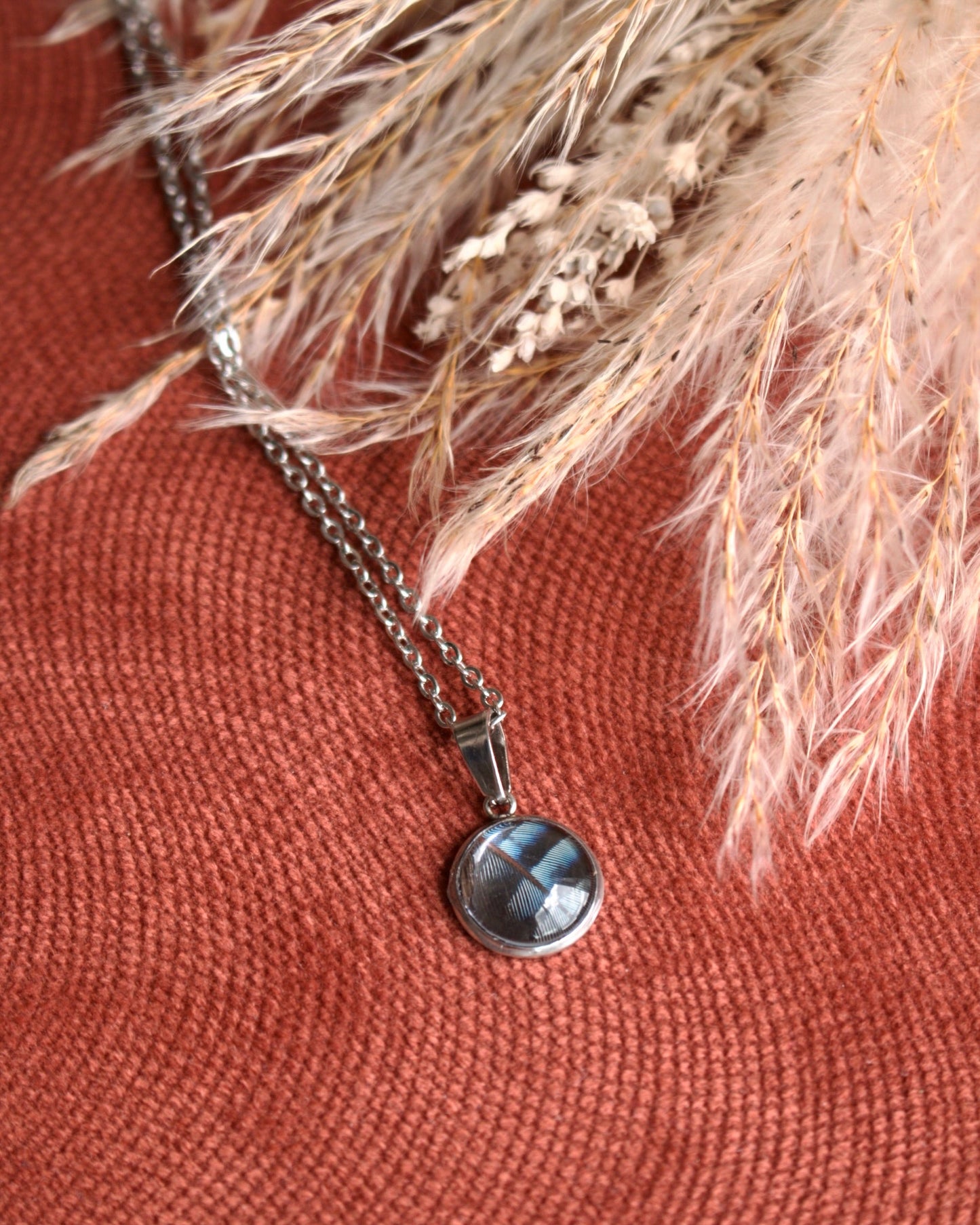 Nouveau Collier Secret Geai des chênes