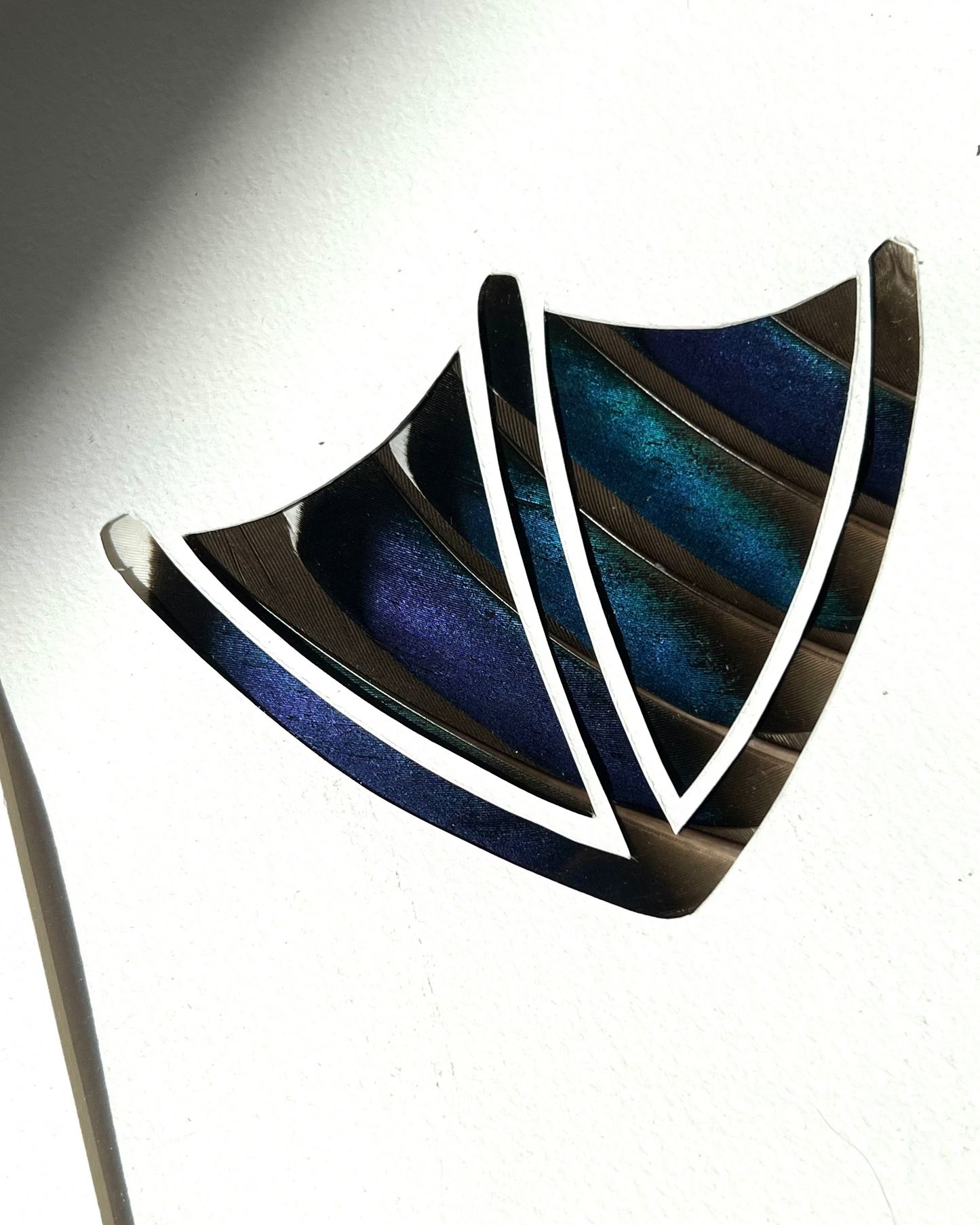 Duck par-ci duck par-là