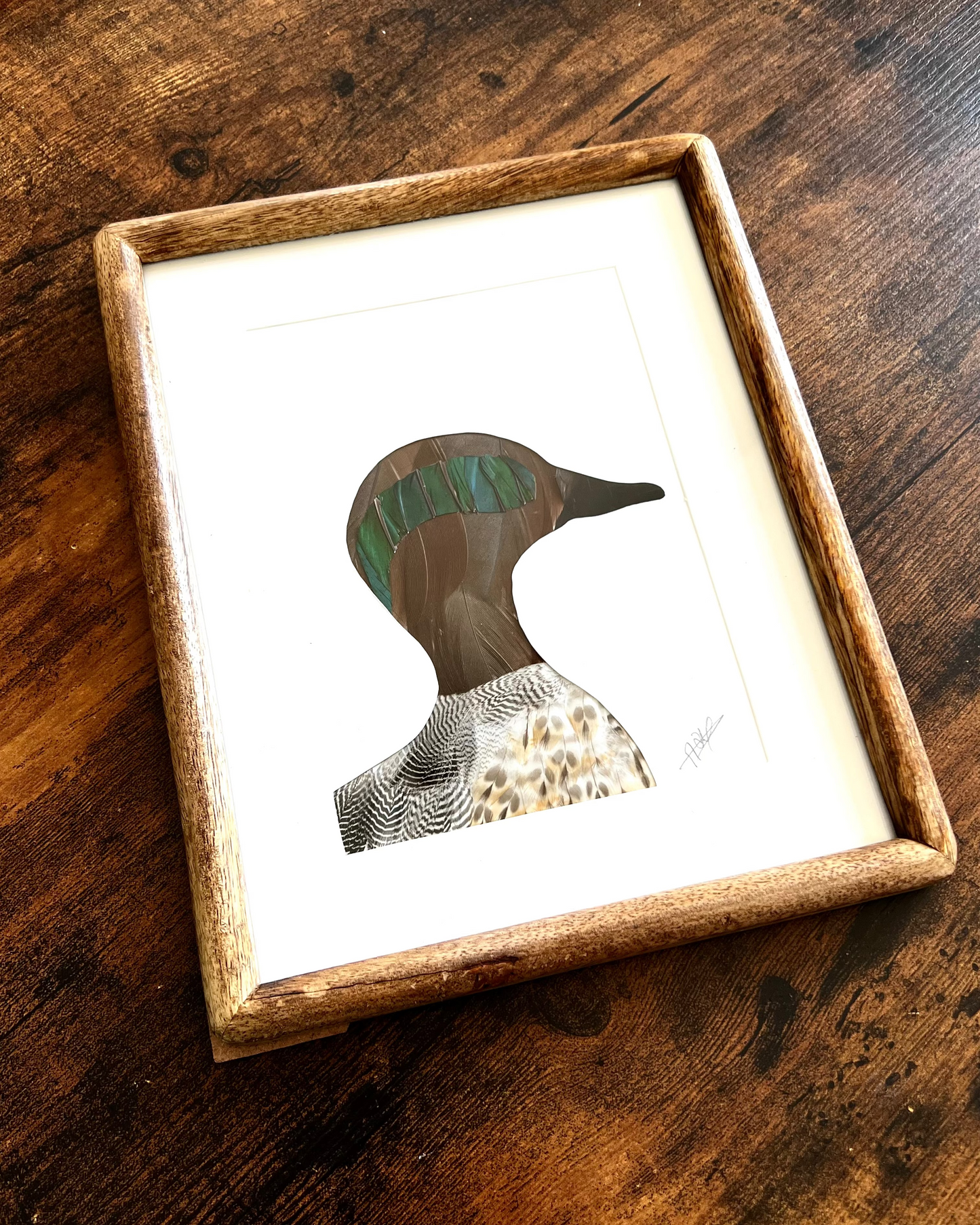 The pintail