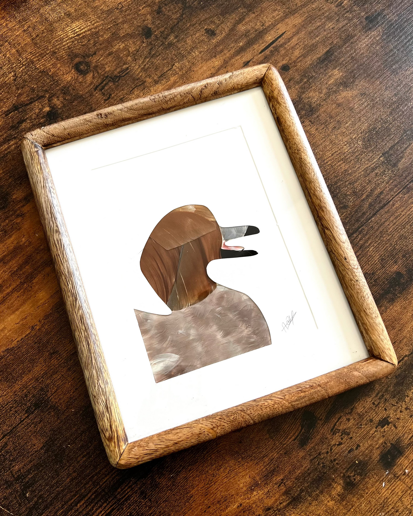 The pintail