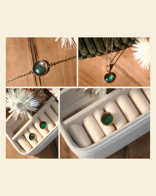 Duck de Toi Sarcelle d'hiver