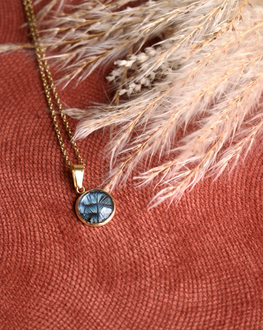 Nouveau Collier Secret Geai des chênes