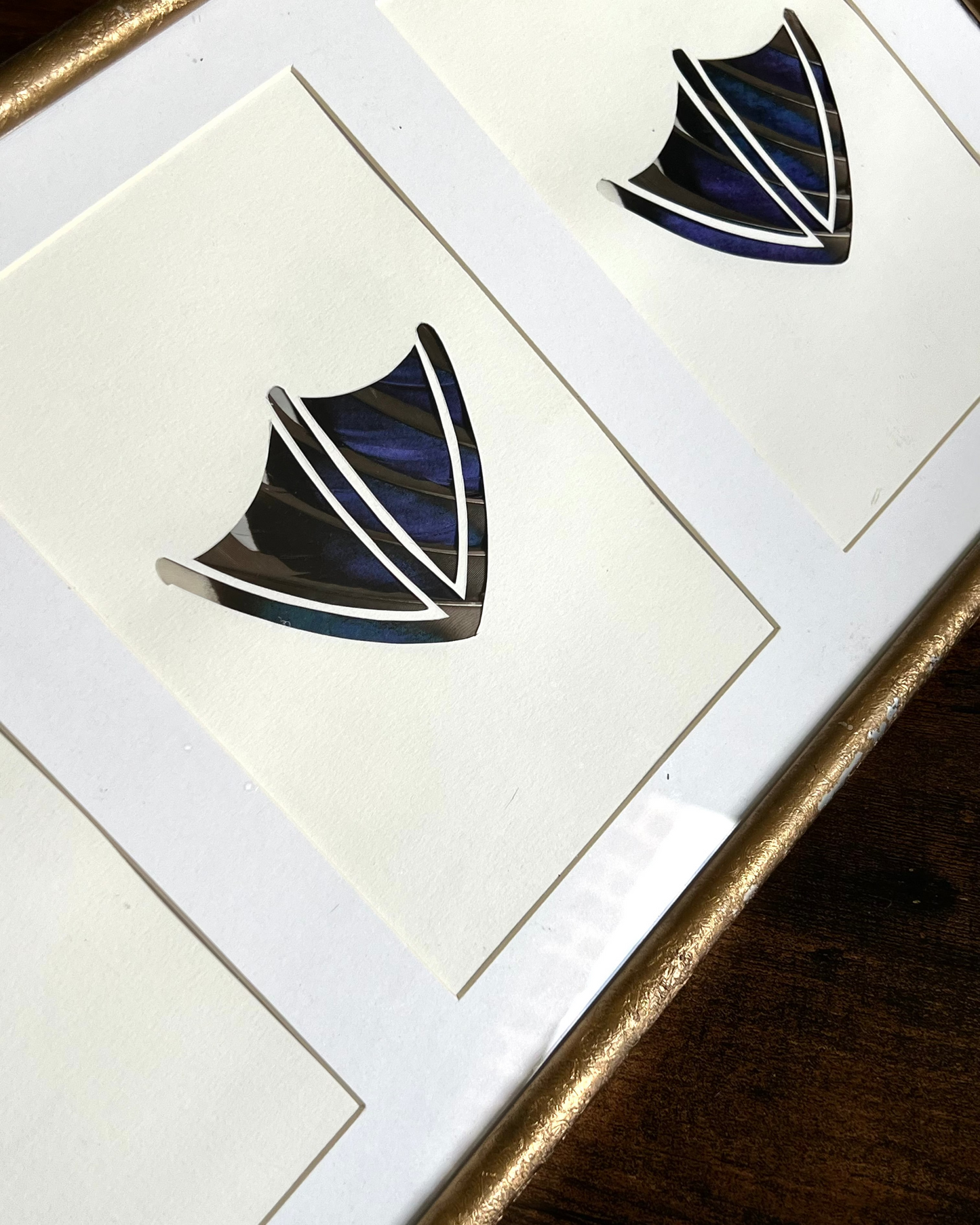 Duck par-ci duck par-là