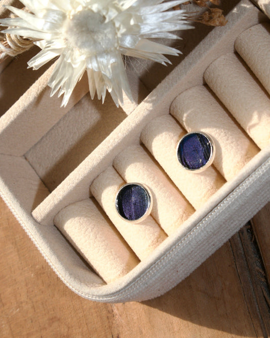 Puce d'oreille Duck de Toi Colvert