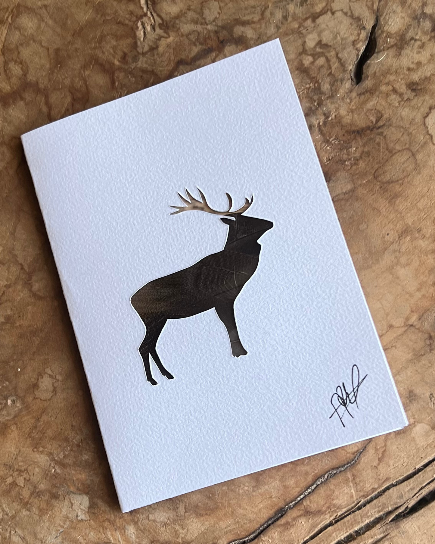 Carte postale Cerf