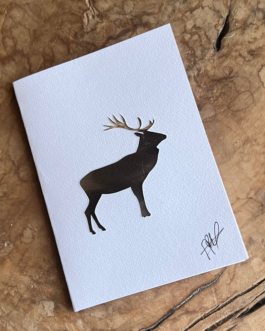 Carte postale Cerf