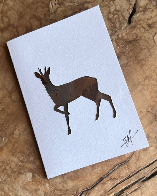 Carte postale Brocard