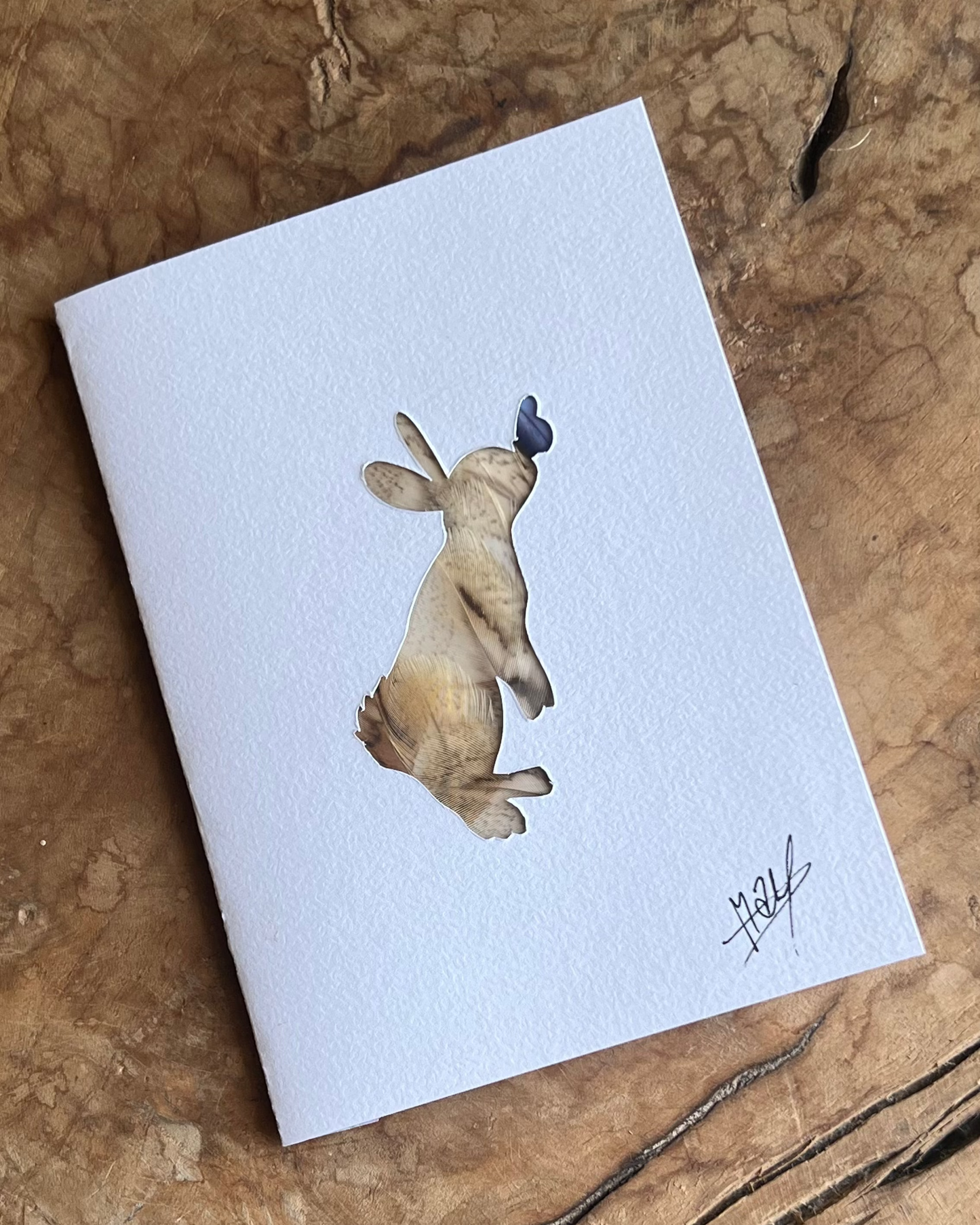 Carte postale Lapin