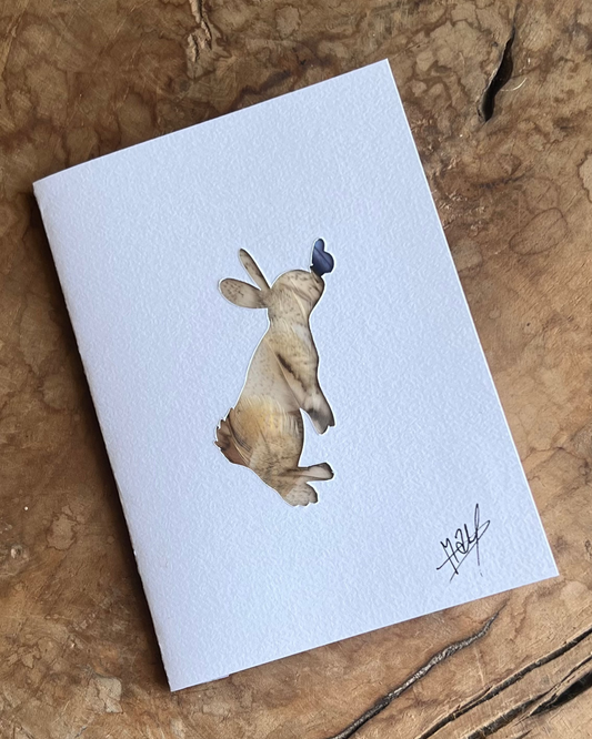 Carte postale Lapin