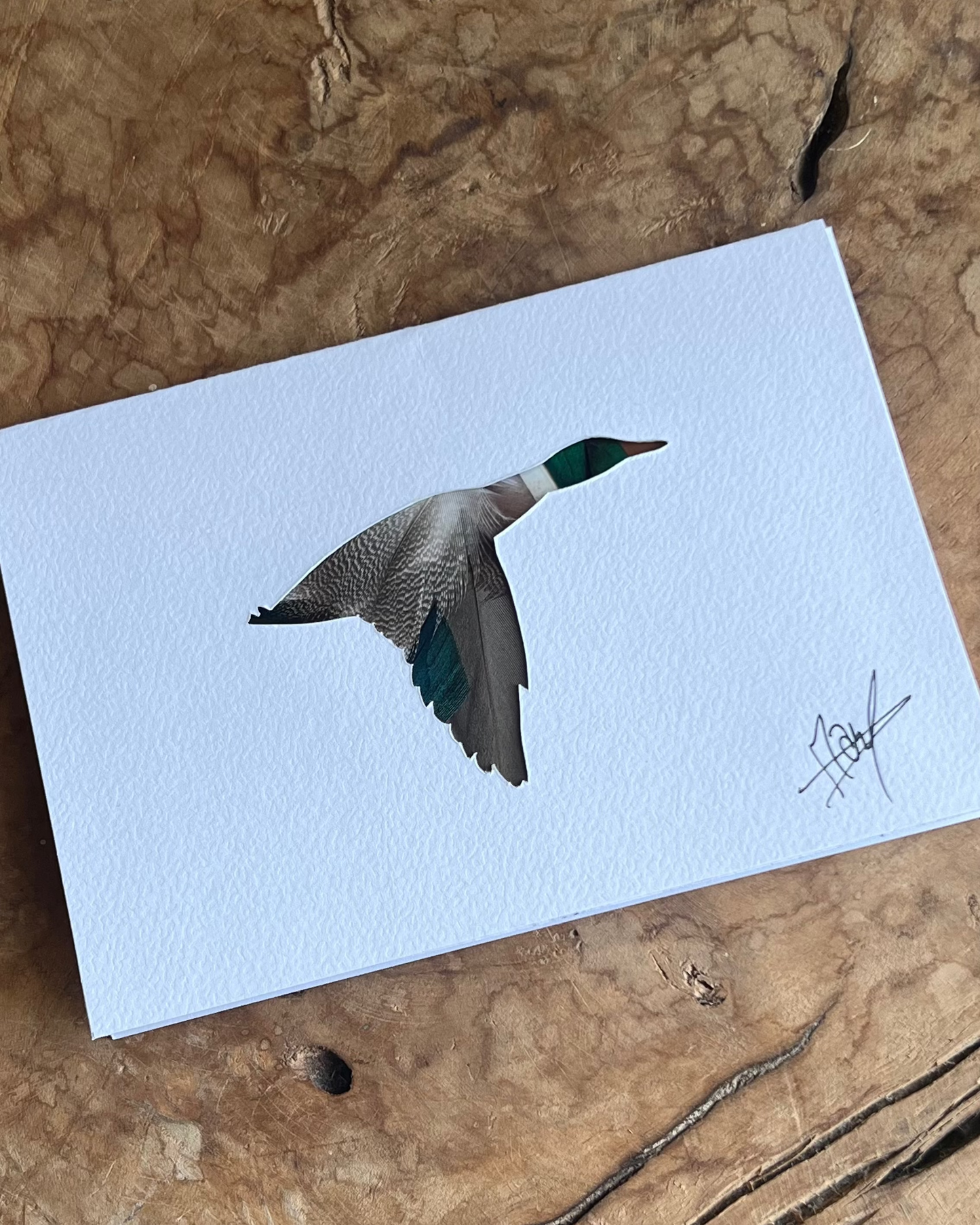 Carte postale Canard