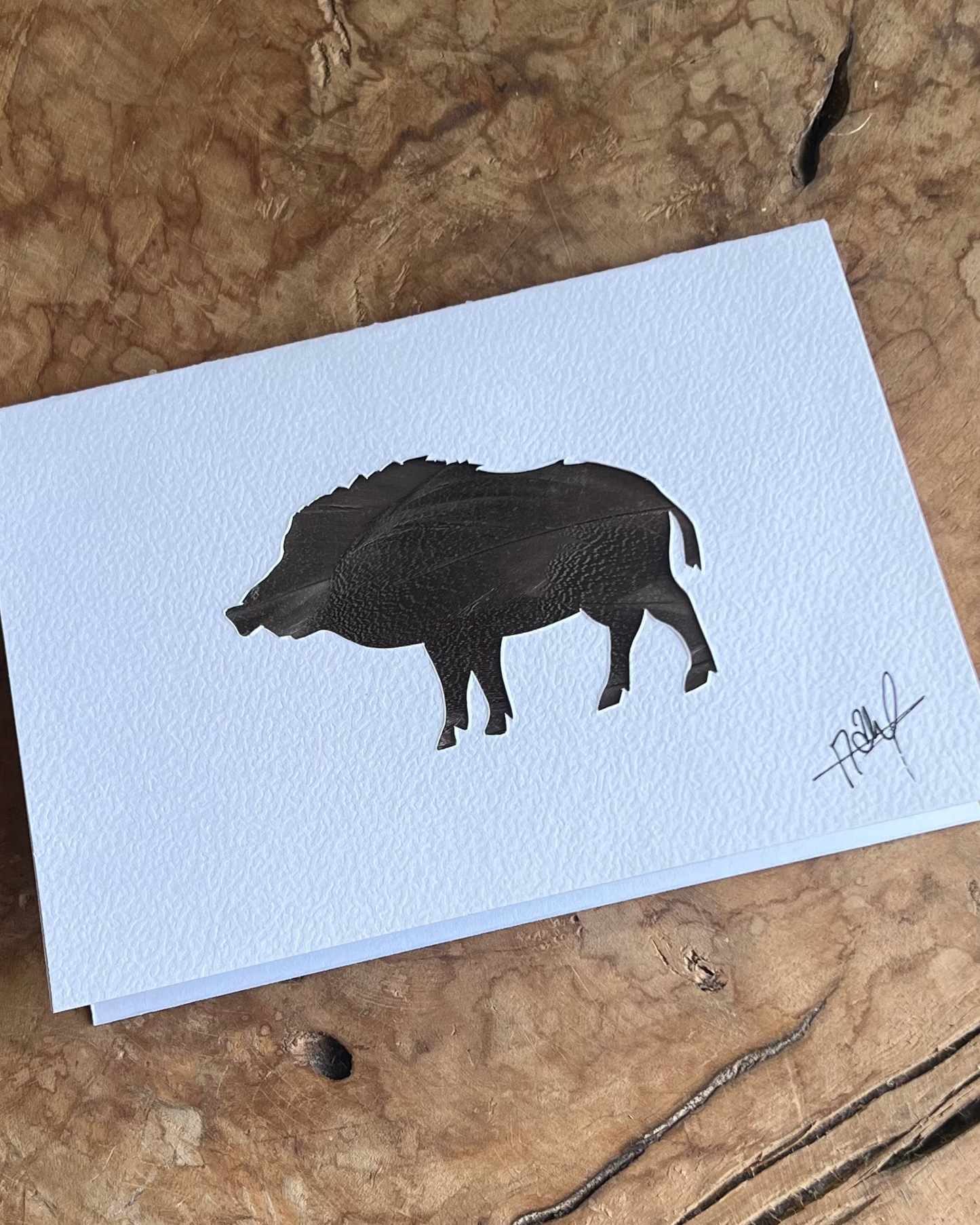 Carte postale Sanglier
