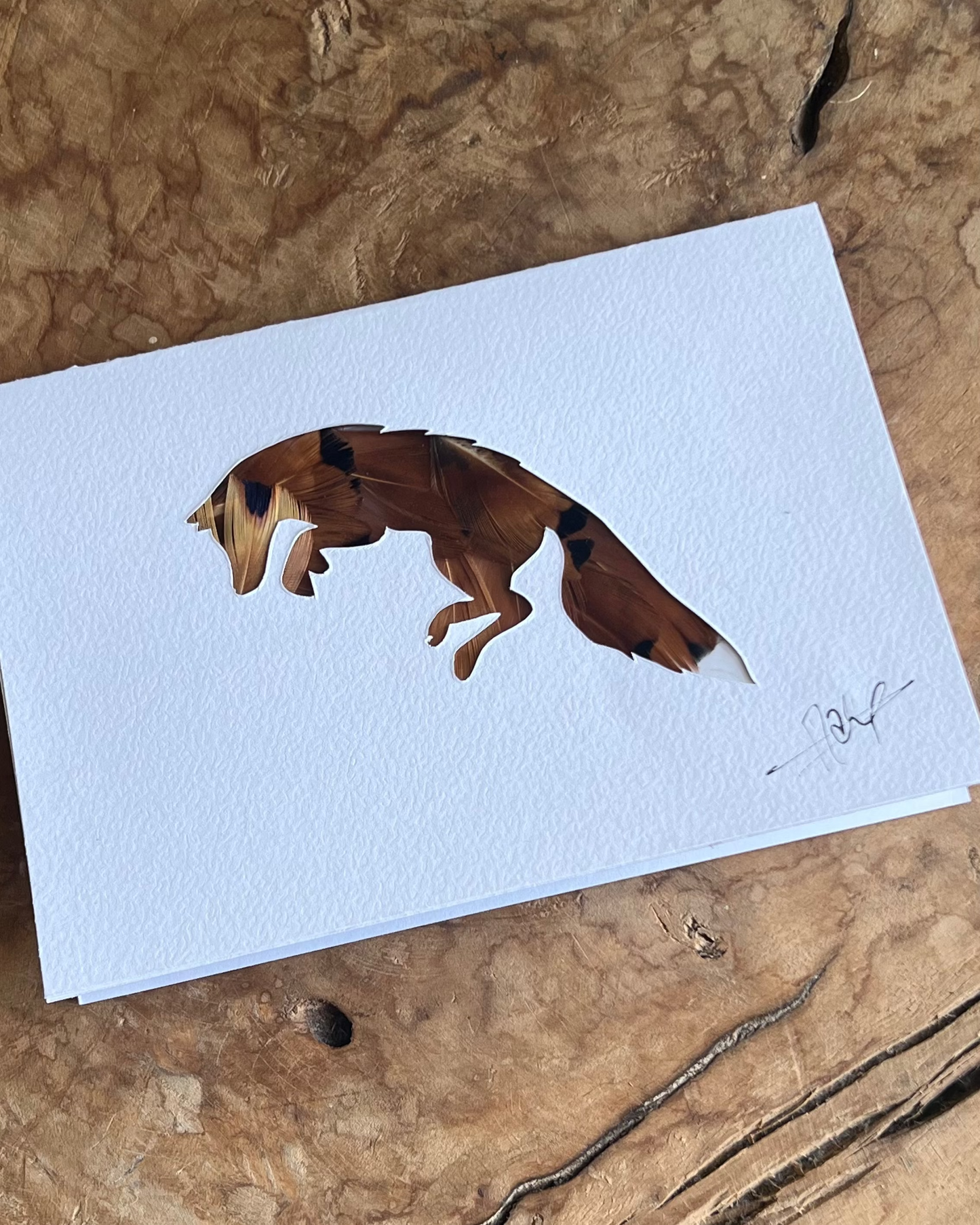 Carte postale Renard