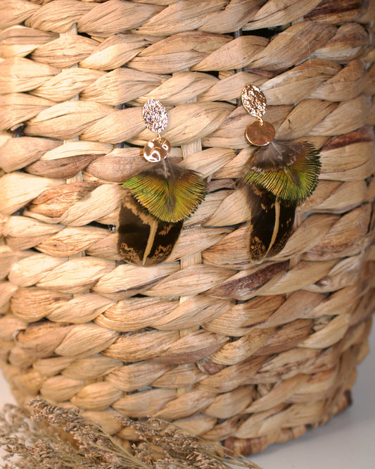 Queen Parrot Earrings