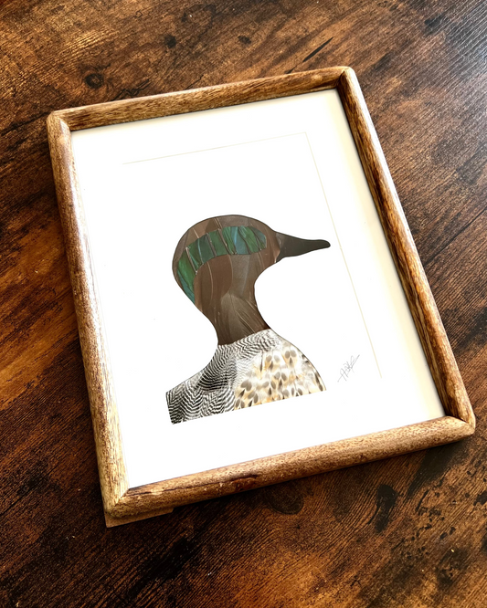 The pintail