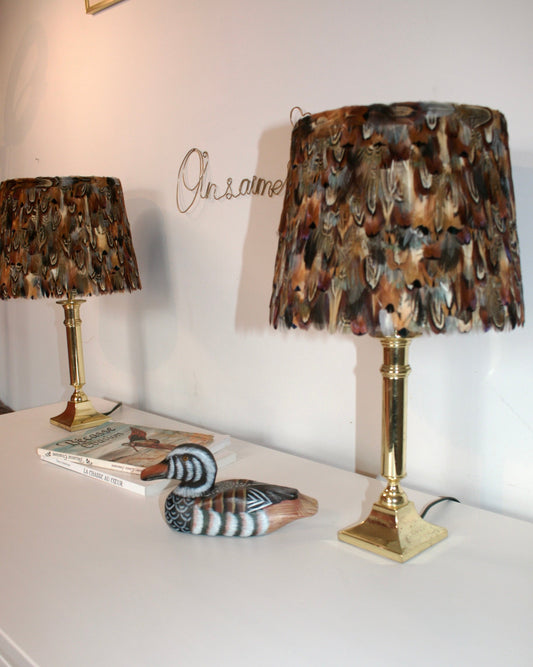 Duo lampes ancienne Faisan commun