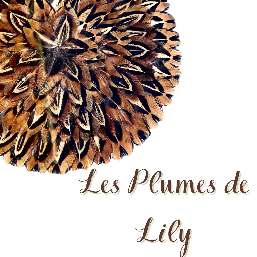 Carte cadeau Les Plumes de Lily